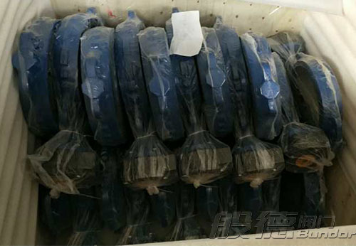 般德渦輪蝶閥、止回閥、過濾器等出口以色列